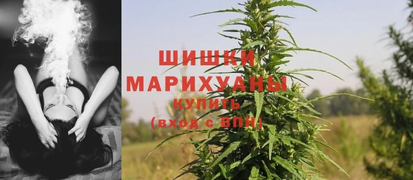 крисы Козловка
