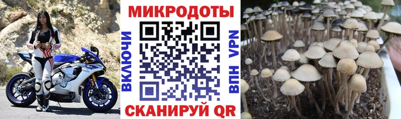 блэк спрут вход  Урюпинск  Псилоцибиновые грибы прущие грибы 