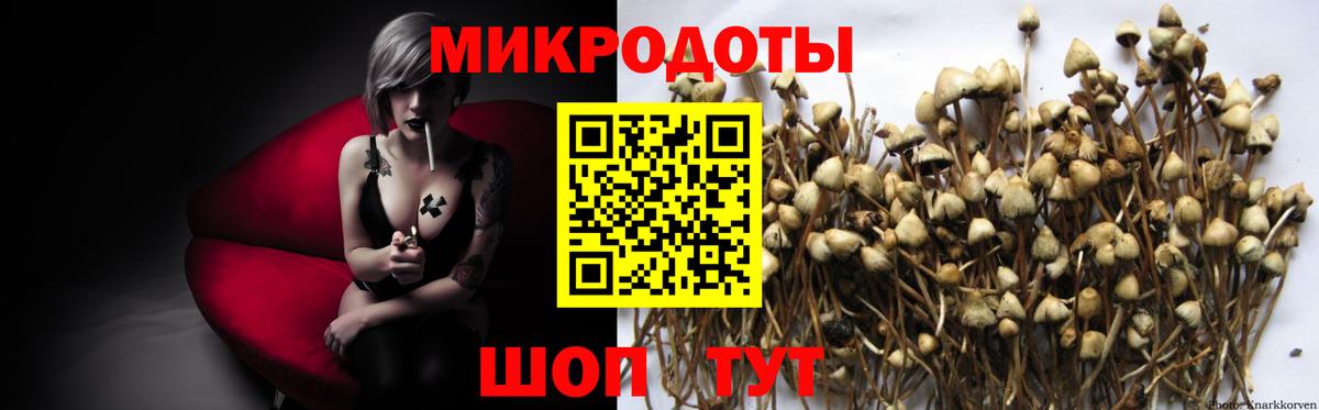 Урюпинск  Галлюциногенные грибы MAGIC MUSHROOMS  Вход с VPN 